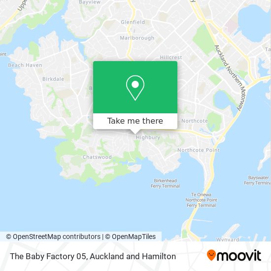 The Baby Factory 05 map