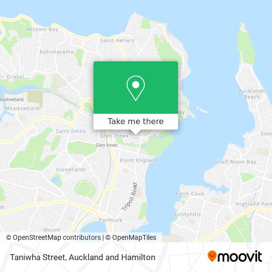 Taniwha Street地图