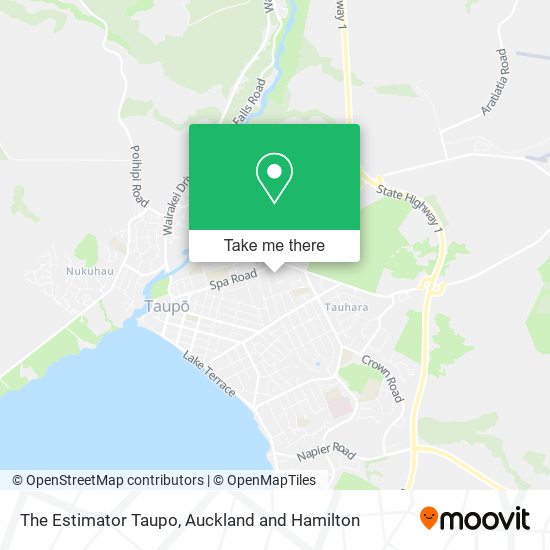 The Estimator Taupo map