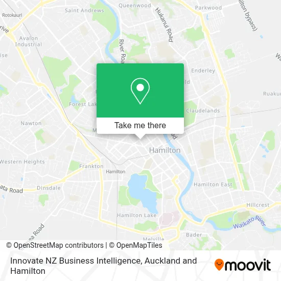 Innovate NZ Business Intelligence map