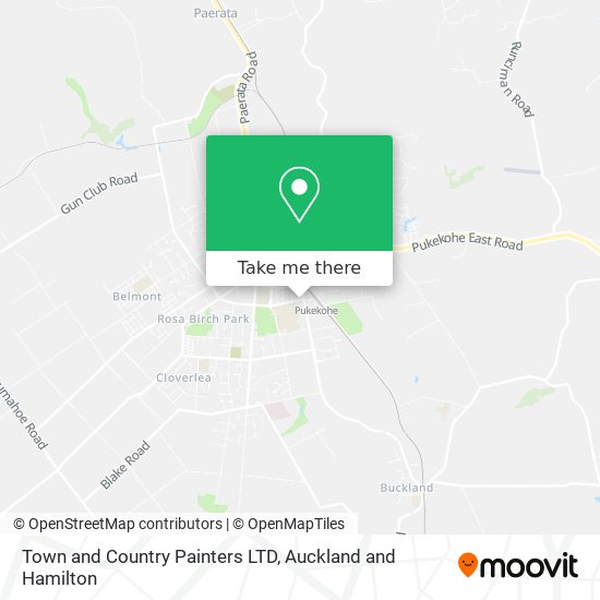 Town and Country Painters LTD map