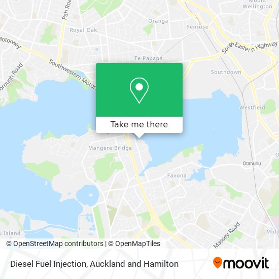 Diesel Fuel Injection map