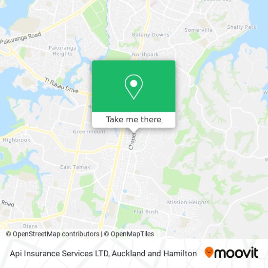 Api Insurance Services LTD map