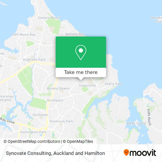 Synovate Consulting map