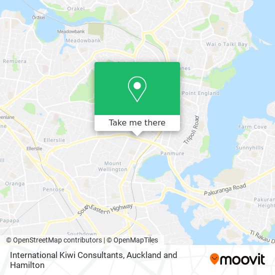 International Kiwi Consultants地图