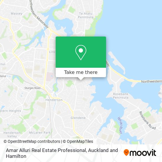 Amar Alluri Real Estate Professional地图