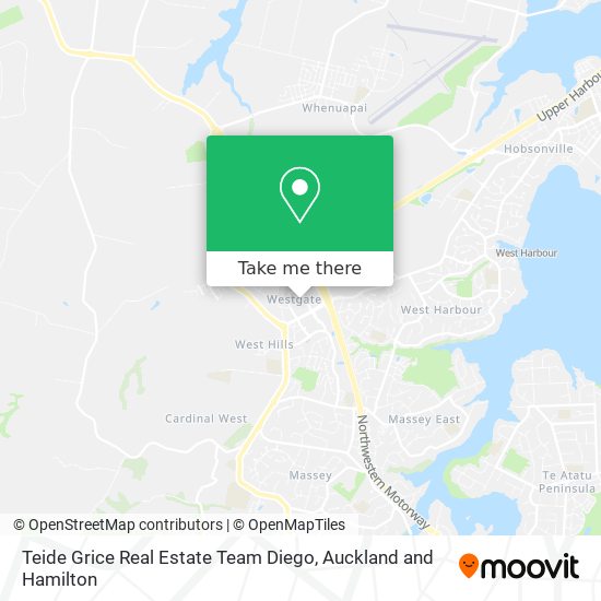 Teide Grice Real Estate Team Diego map