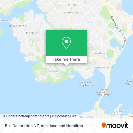 Bull Decoration NZ map