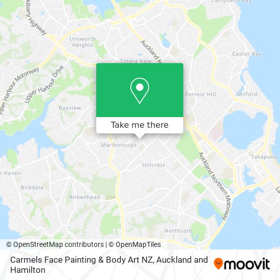 Carmels Face Painting & Body Art NZ map