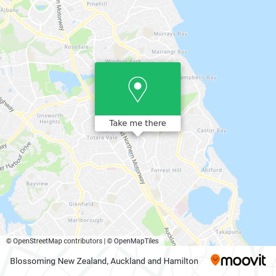 Blossoming New Zealand map