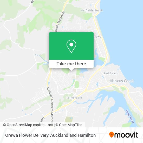 Orewa Flower Delivery地图