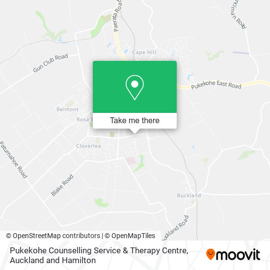 Pukekohe Counselling Service & Therapy Centre map