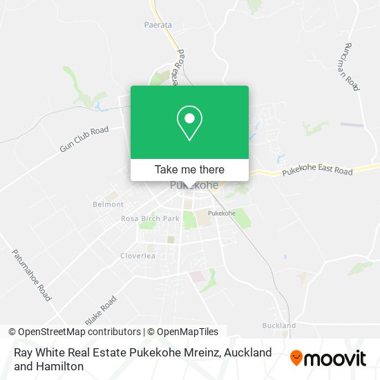 Ray White Real Estate Pukekohe Mreinz map