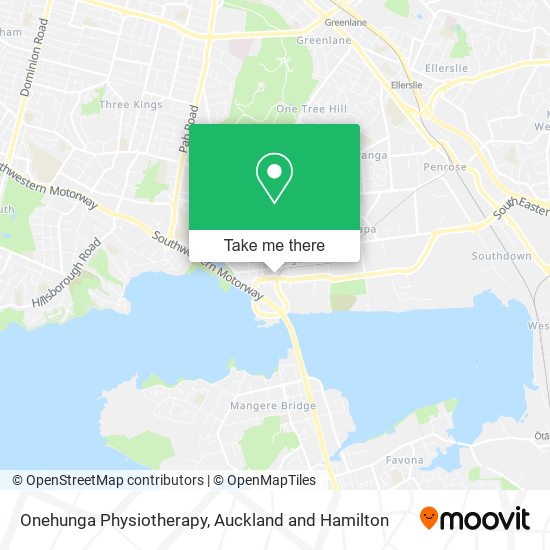 Onehunga Physiotherapy map