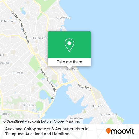 Auckland Chiropractors & Acupuncturists in Takapuna map