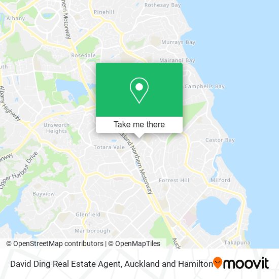 David Ding Real Estate Agent map