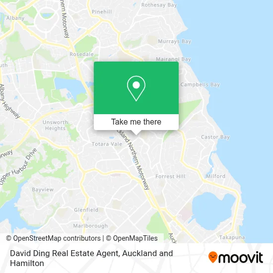 David Ding Real Estate Agent map