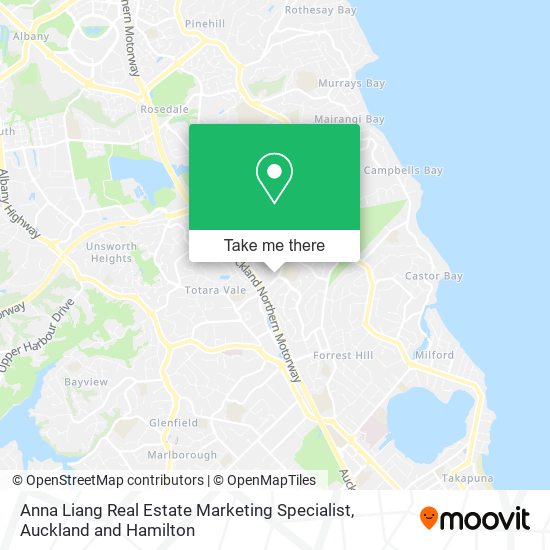 Anna Liang Real Estate Marketing Specialist map