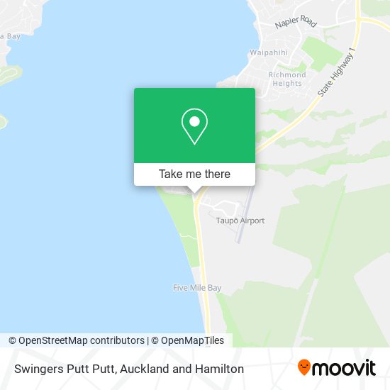 Swingers Putt Putt map