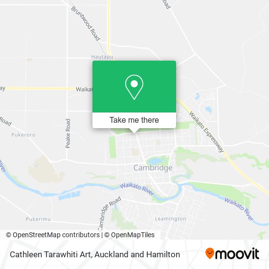 Cathleen Tarawhiti Art map