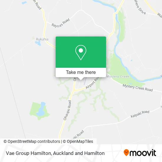 Vae Group Hamilton map