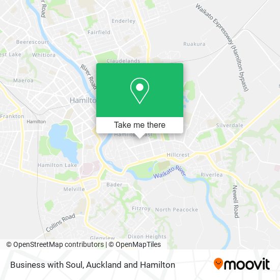 Business with Soul map