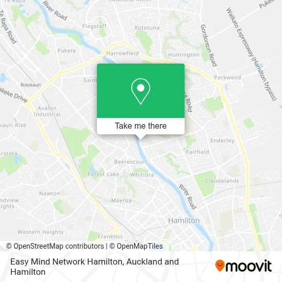 Easy Mind Network Hamilton map