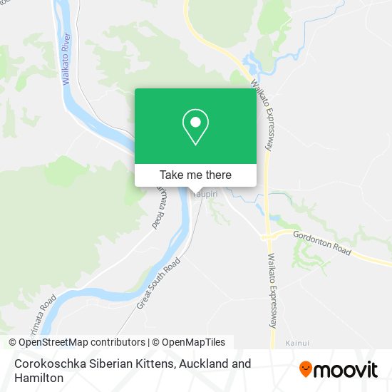 Corokoschka Siberian Kittens map