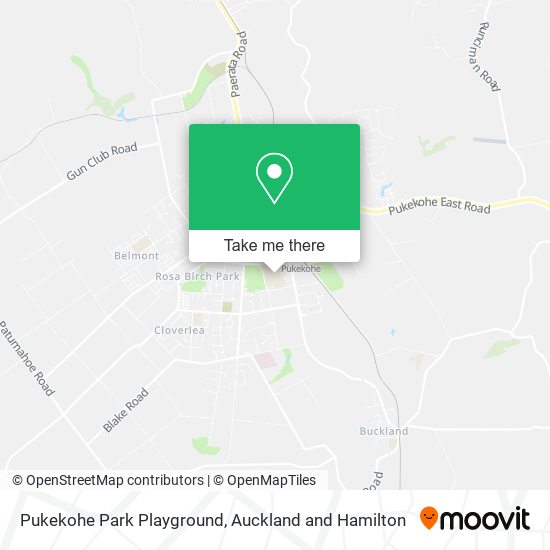 Pukekohe Park Playground map