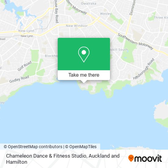 Chameleon Dance & Fitness Studio map