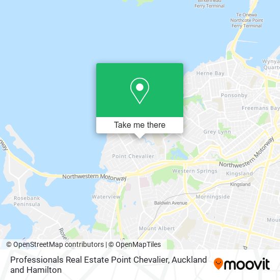 Professionals Real Estate Point Chevalier地图