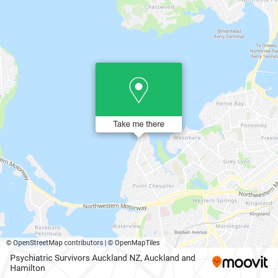 Psychiatric Survivors Auckland NZ地图