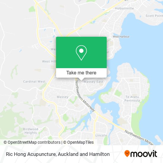 Ric Hong Acupuncture map