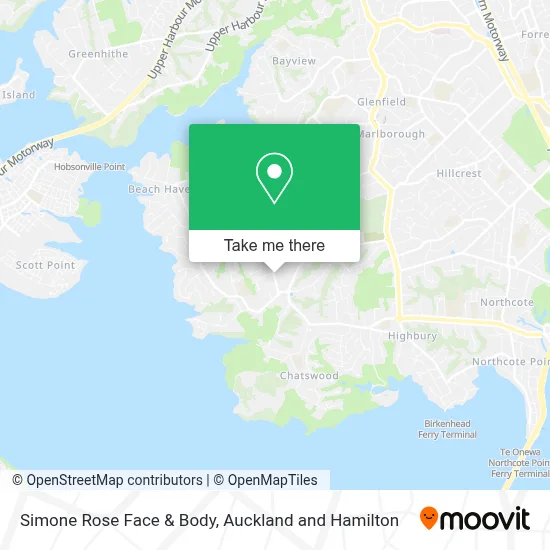 Simone Rose Face & Body map