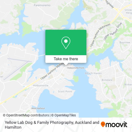 Yellow Lab Dog & Family Photography map