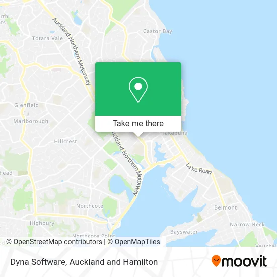 Dyna Software map