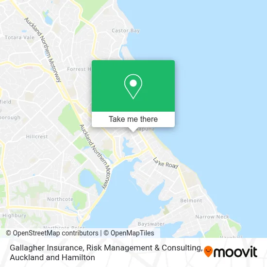 Gallagher Insurance, Risk Management & Consulting map