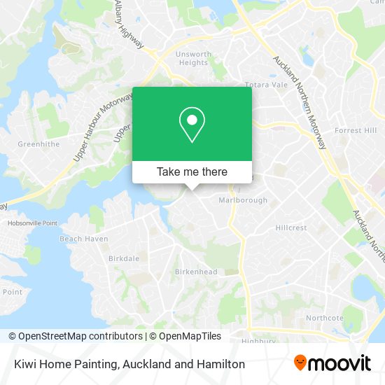 Kiwi Home Painting地图