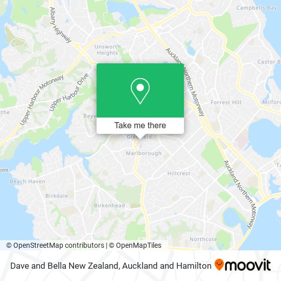 Dave and Bella New Zealand地图