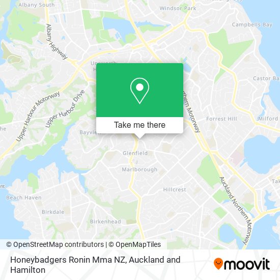 Honeybadgers Ronin Mma NZ map