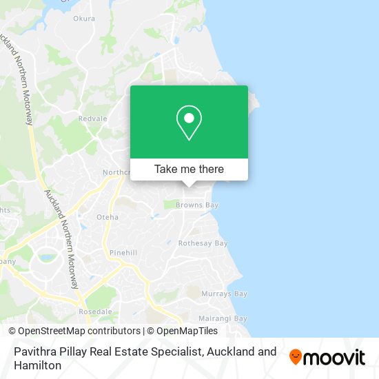 Pavithra Pillay Real Estate Specialist map