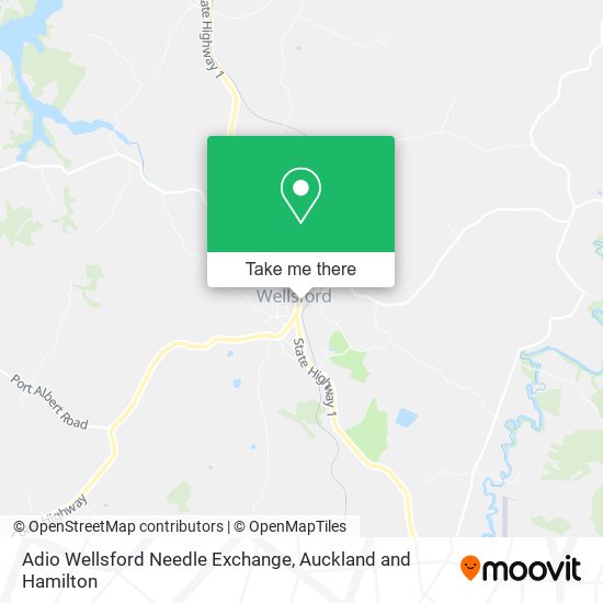 Adio Wellsford Needle Exchange map
