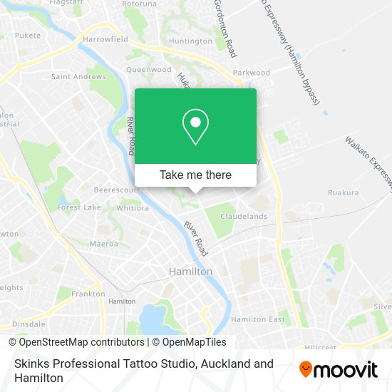 Skinks Professional Tattoo Studio map
