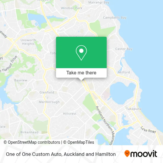 One of One Custom Auto map