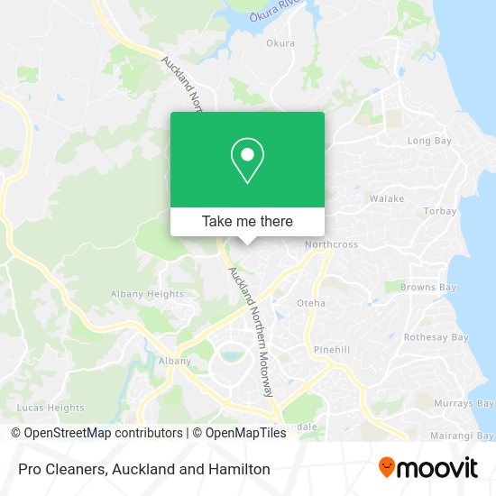 Pro Cleaners map