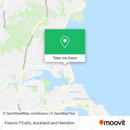 Francis T-Cuttz map