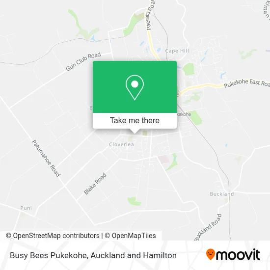 Busy Bees Pukekohe map