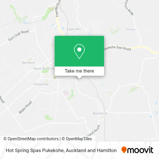 Hot Spring Spas Pukekohe map