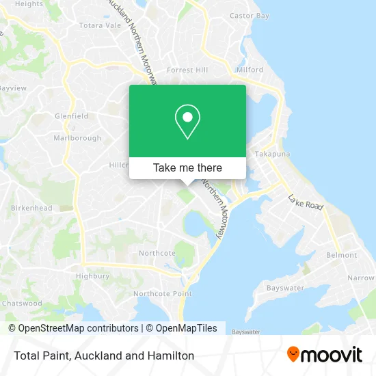 Total Paint map