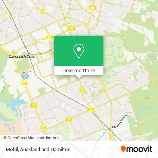 Mobil map